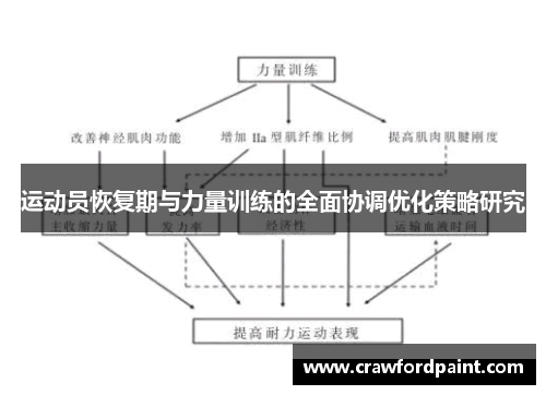运动员恢复期与力量训练的全面协调优化策略研究