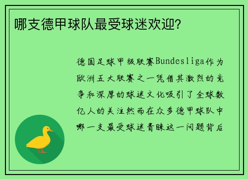 哪支德甲球队最受球迷欢迎？