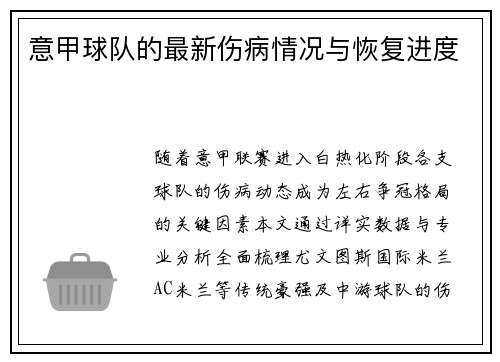 意甲球队的最新伤病情况与恢复进度